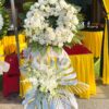 hoa buồn154
