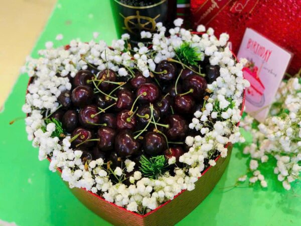 TRÁI TIM SINH NHẬT 102