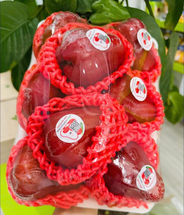 MẬN ĐỎ AN PHƯỚC