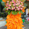 Hoa chúc mừng··
