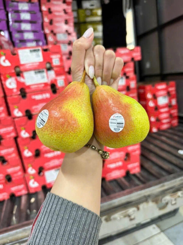 LÊ THIÊN ĐƯỜNG - Hình ảnh 2