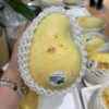 XOÀI TỨ QUÝ HOÀNG KIM VNP