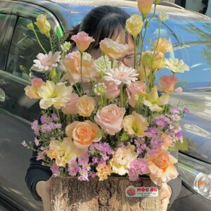 Hoa của sự bắt đầu