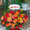 hoa  birthday