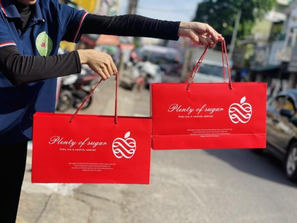 HỘP QUÀ DỄ THƯƠNG TÁO ENVY - Hình ảnh 4
