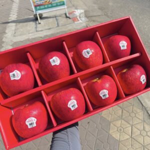HỘP QUÀ DỄ THƯƠNG TÁO ENVY