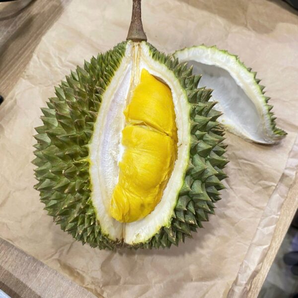 SẦU RIÊNG MUSAKING - Hình ảnh 2