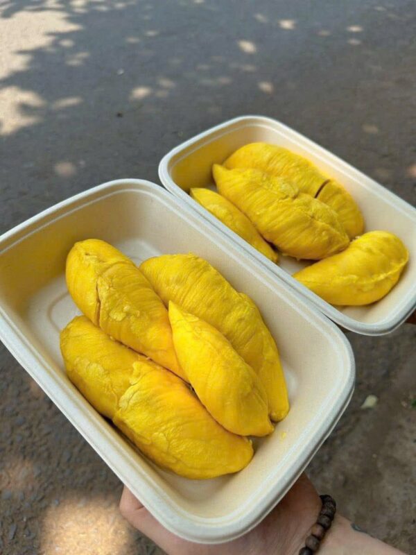 SẦU RIÊNG MUSAKING - Hình ảnh 3