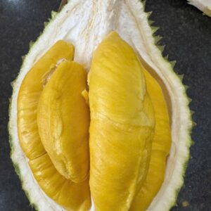 SẦU RIÊNG MUSAKING