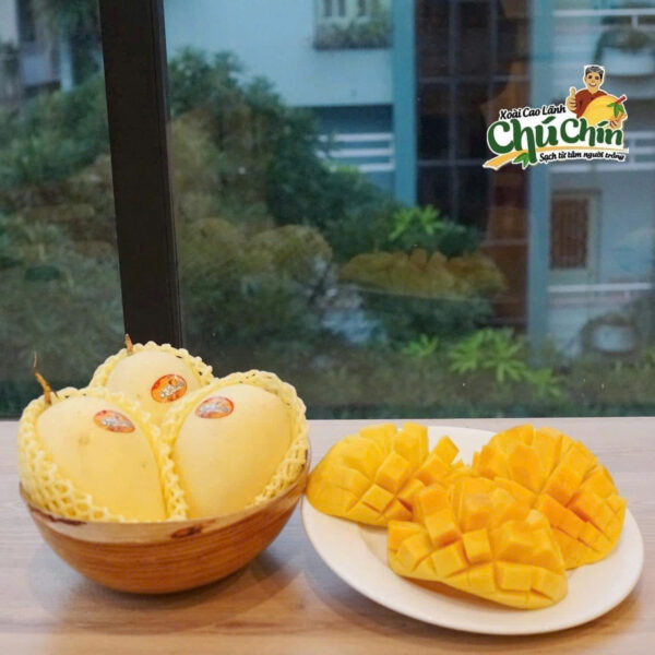XOÀI CÁT CHÚ CHÍN - Hình ảnh 2