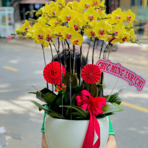 HOA TẶNG NHÂN NGÀY KHAI TRƯƠNG