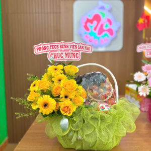GIỎ TRÁI CÂY MIX HOA 102